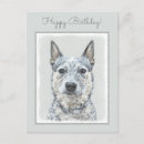 Search for heeler postcards Cattle