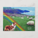 Search for flock of sheep postcards Dog