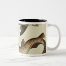 Search for shark fin mugs Fish