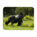 Search for mcdonald magnets Herbivore