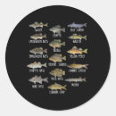 Search for brooks stickers Hiking