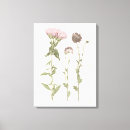 Search for bloom canvas prints Botanical