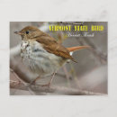 Search for hermit thrush Vermont