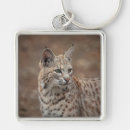 Search for bobcat key rings Animal
