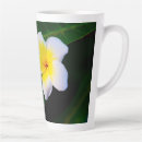 Search for plumeria mugs Island
