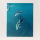 Search for marine life puzzles Sea