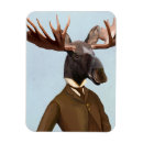 Search for moose Animals