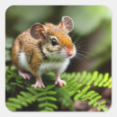 Search for mouse stickers Rodent