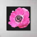 Search for poppy canvas prints Watercolor