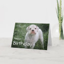 Search for veterinarian birthday cards Dog