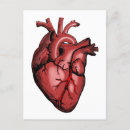 Search for cardiac postcards Heart