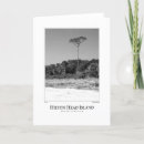 Search for island cards Palm trees
