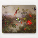 Search for johnson electronics Martin johnson heade