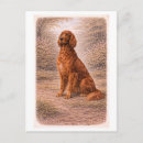 Search for vintage irish postcards Antique