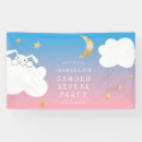 Search for twinkle twinkle little star banners Boy or girl