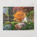 Search for azalea postcards Garden
