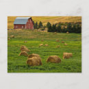 Search for bale of hay postcards Colourful