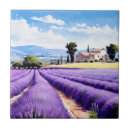 Search for provencal tiles France
