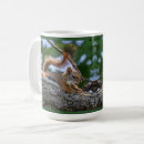 Search for happy squirrel mugs Nature