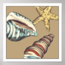 Search for trio posters Starfish
