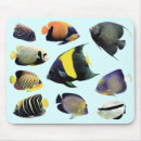 Search for angelfish electronics Tropical