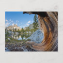 Search for ansel adams wilderness postcards Garnet lake