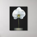 Search for white orchid canvas prints Bouquet