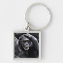 Search for chimpanzees accessories Wildlife