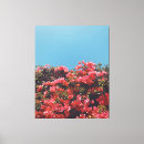 Search for bougainvillea art Photography