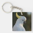 Search for cockatoo key rings Animal