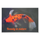 Search for swimming in water posters Nature