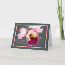 Search for phalaenopsis cards Pink