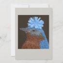Search for eastern Bluebird