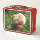Search for hammie Hamster
