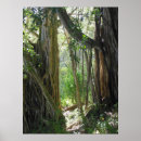 Search for fig art posters Tree