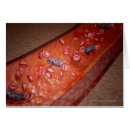 Search for microscopic postcards Colour