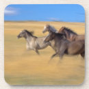 Search for speed coasters Horizontal
