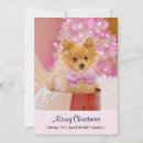 Search for dog christmas cards Whimsical