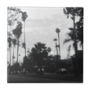 Search for vintage palm trees tiles Travel