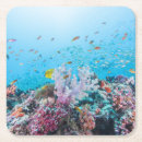 Search for scuba diving coasters Nautical