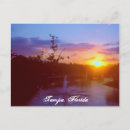 Search for tampa postcards Water