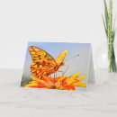 Search for feeding cards Monarch