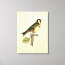 Search for bird canvas prints Beige background
