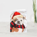 Search for english bulldog christmas cards Dog lovers