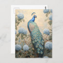 Search for elegant peacock postcards Nature
