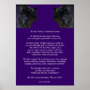Search for two wolves posters Two wolf story