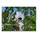 Search for hot summer cards Nature