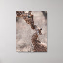 Search for giraffe print canvas prints Africa