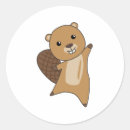 Search for cute beaver stickers Funny animals