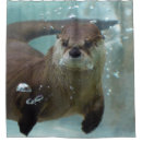 Search for otter shower curtains Brown